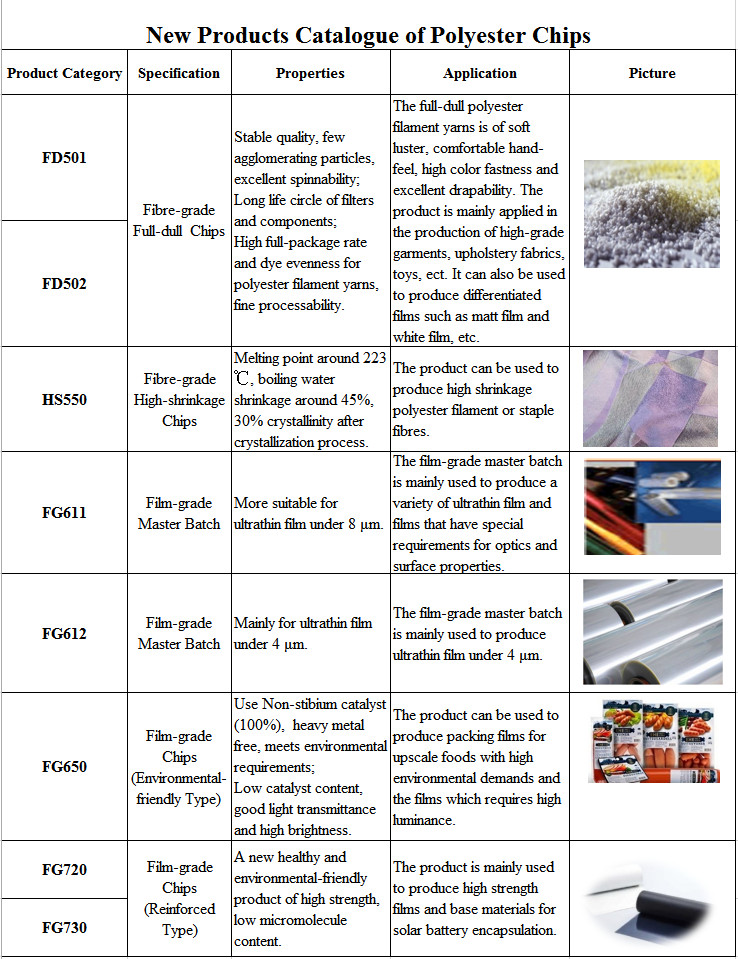 Polyester Chips